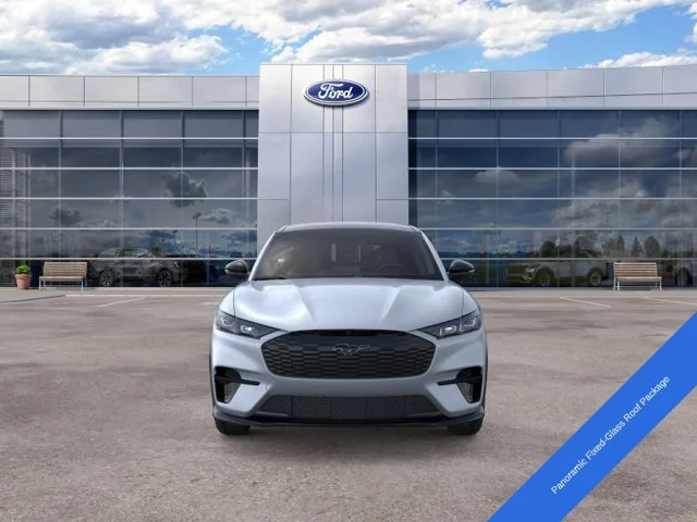 New 2026 Glacier Gray Metallic Tri-coat Ford Premium image 6