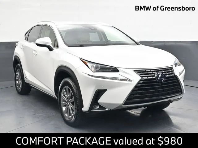 2020 Lexus NX 300h