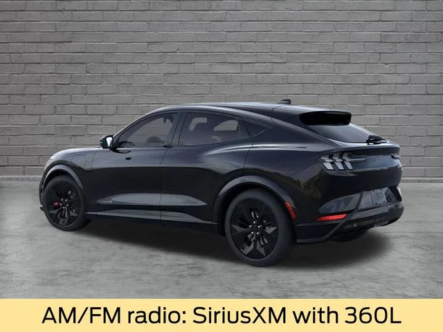 2025 Ford Mustang Mach-E GT - Photo 6