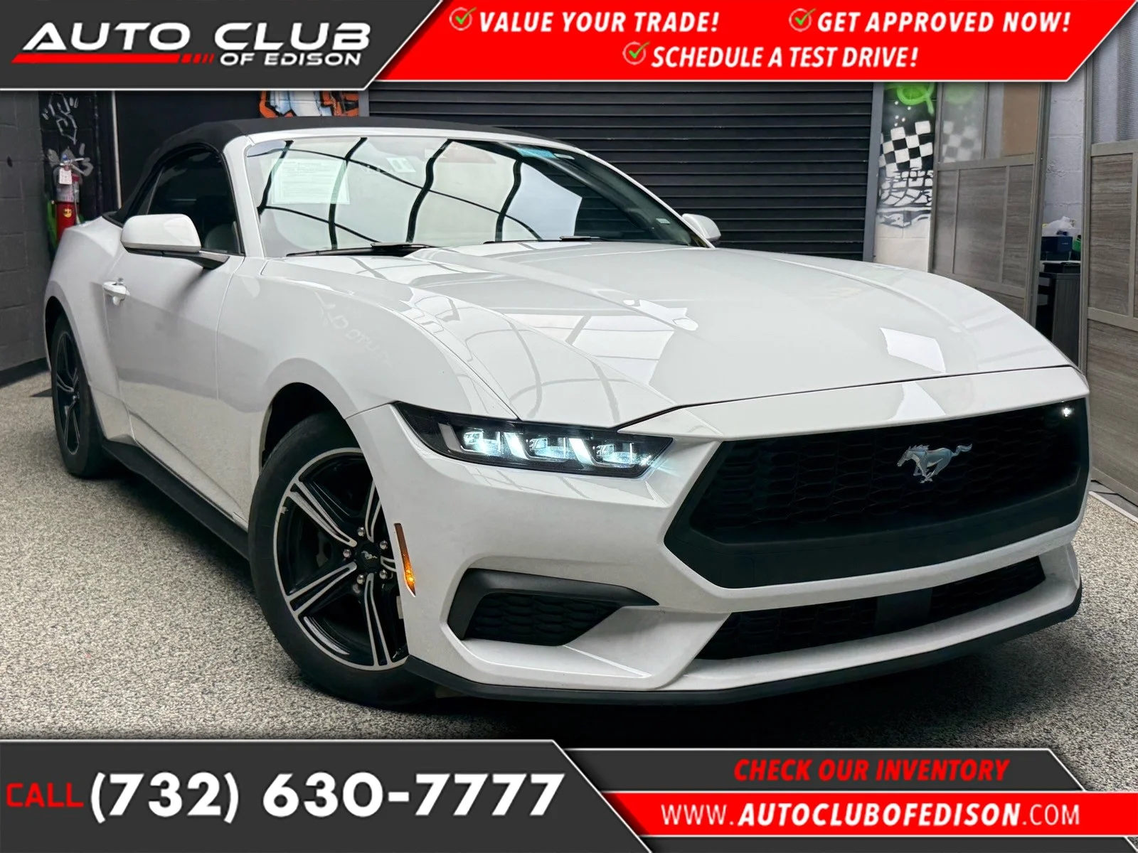 2024 Ford Mustang EcoBoost Premium Convertible's photo