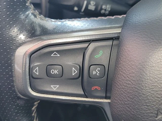 Used 2021 Black Ram Rebel image 18