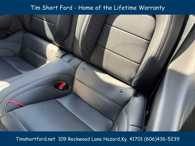 New 2026 White Ford EcoBoost Premium image 10