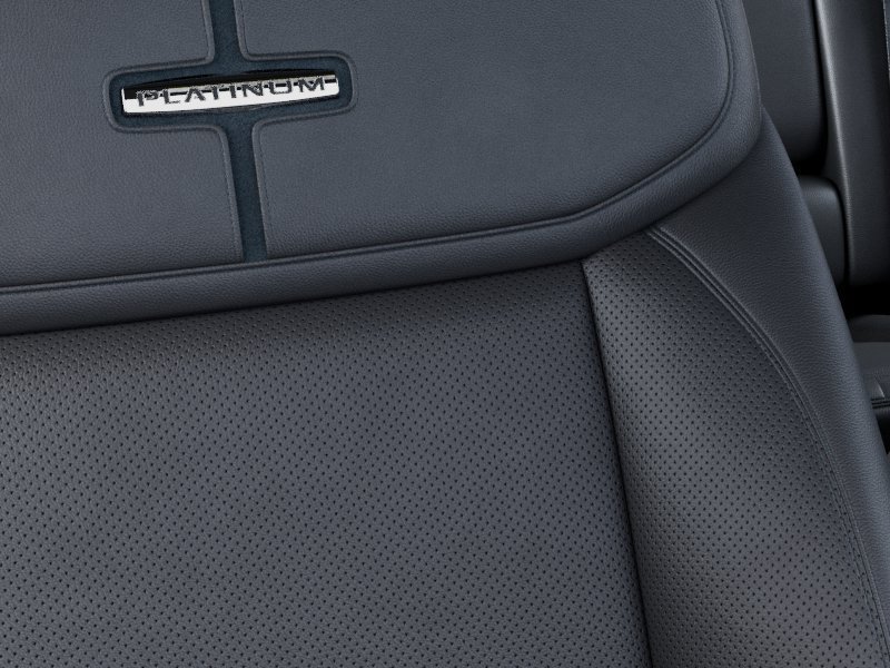 New 2027 Gray Ford Platinum image 16