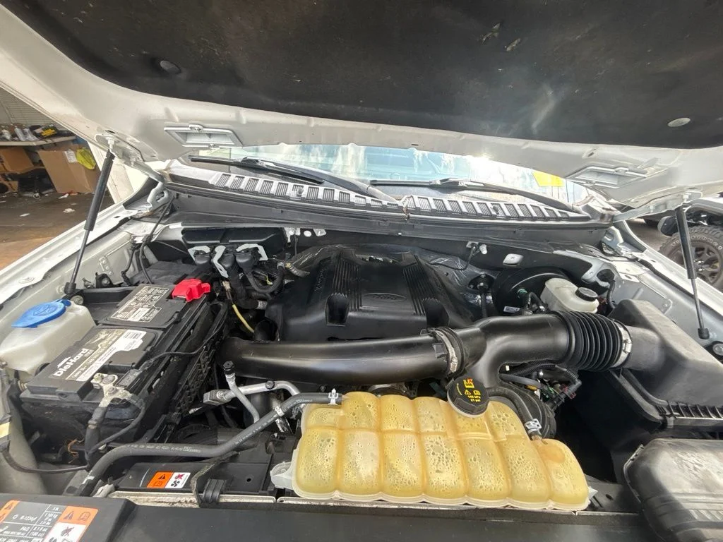 Used 2020 White Ford XLT image 10