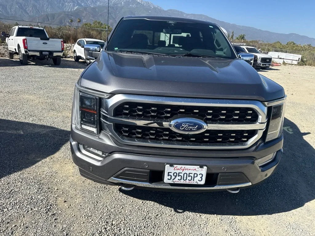 Used 2021 Gray Metallic Ford Platinum image 2
