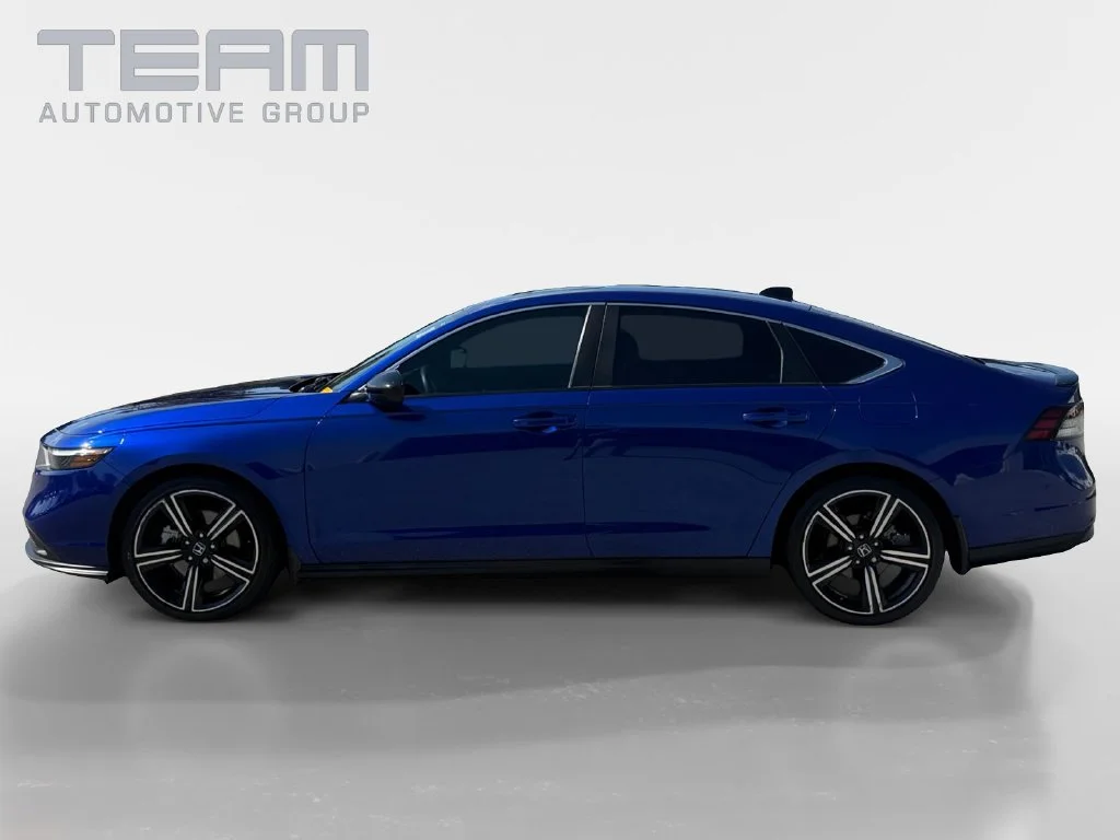 Used 2024 Blue Honda Sport image 4