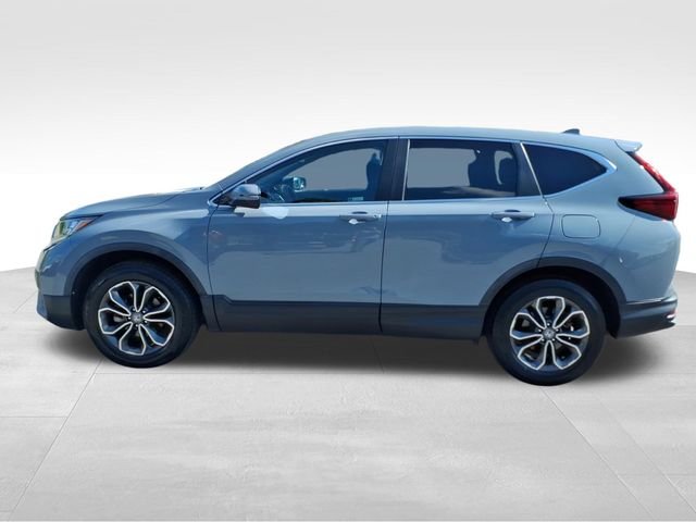 Used 2022 Blue Honda EX image 7