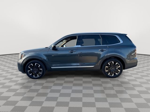 Used 2024 Gray Kia SX-Prestige image 7