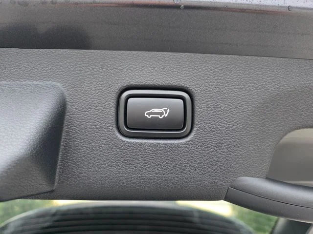 New 2026 Panthera Metal Gray Kia EX image 10