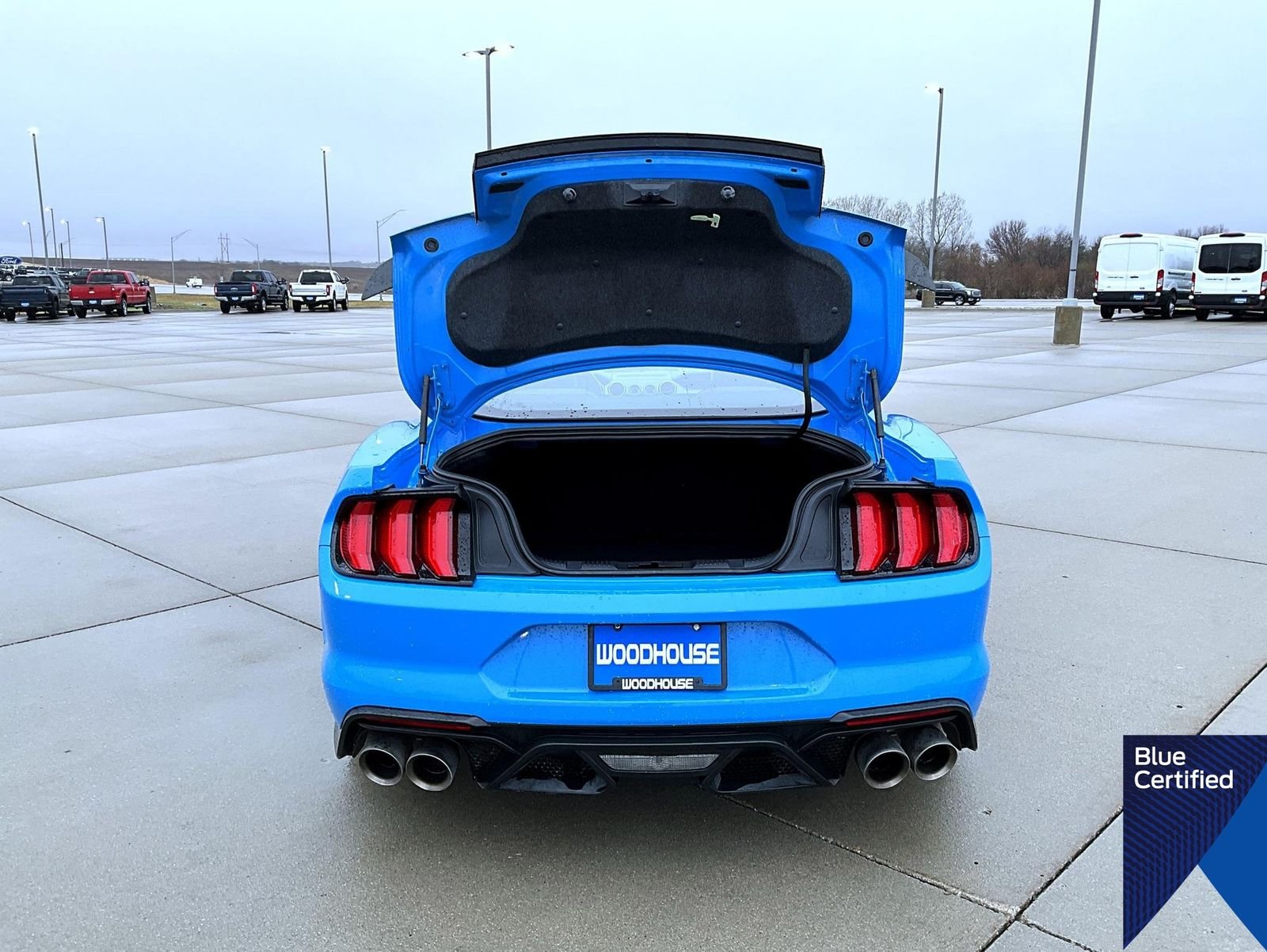 Certified Used 2023 Grabber Blue Ford Mach 1 image 20