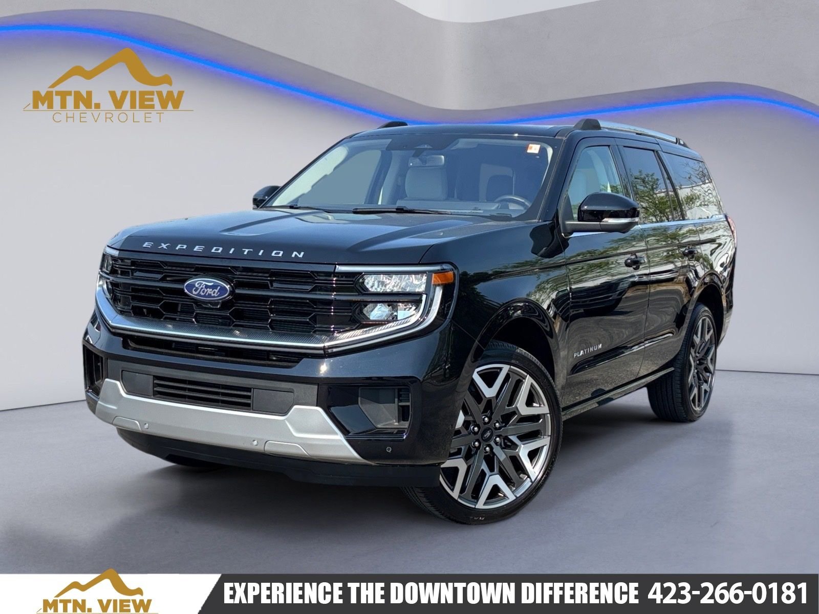 2025 Ford Expedition Platinum 4x4's photo