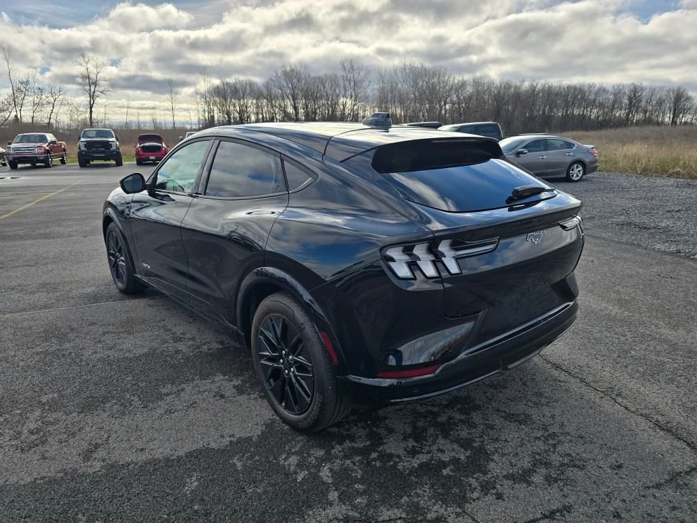 Used 2025 Black Ford Premium image 7