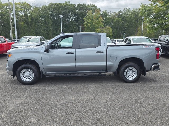 New 2026 Sterling Gray Metallic Chevrolet WT image 10