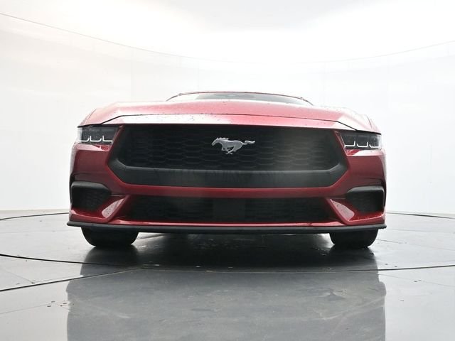 Used 2024 Red Ford EcoBoost Premium image 23