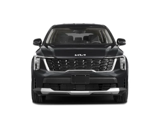 New 2026 Panthera Metal Kia LX image 4