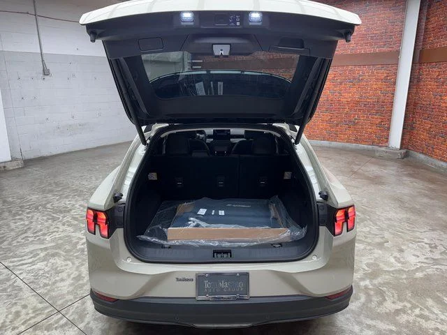 New 2025 Beige Ford Premium image 28