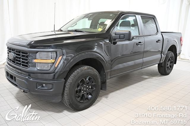 2024 Ford F-150 STX 4x4 SuperCrew 145 in's photo