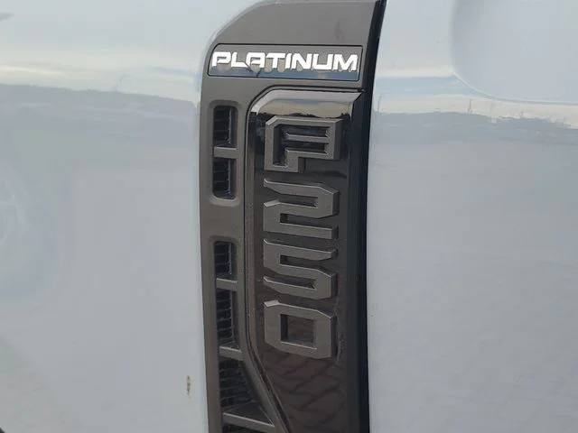 New 2026 Gray Metallic Ford Platinum image 9