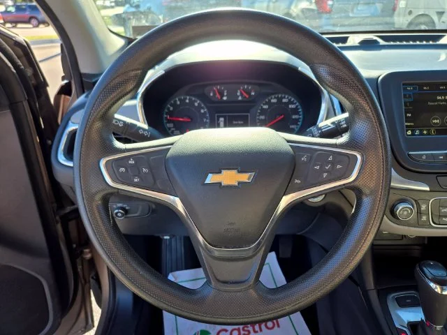 Used 2019 Beige Chevrolet LS image 30