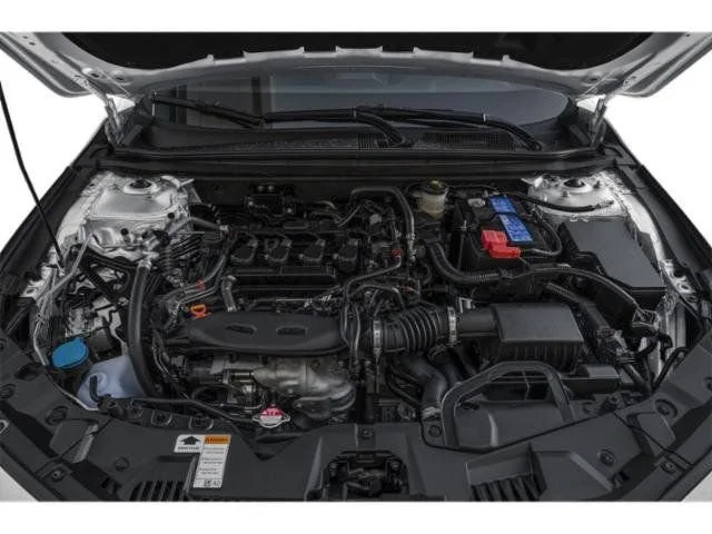 New 2026 Platinum White Pearl Honda LX image 11