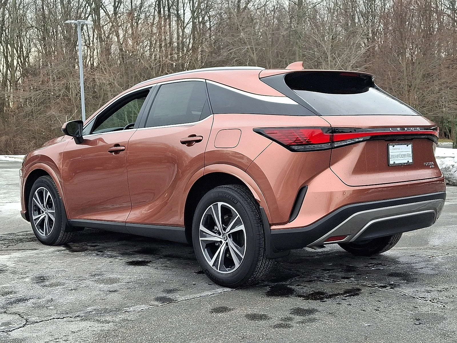 2025 Lexus RX 350 - Photo 4