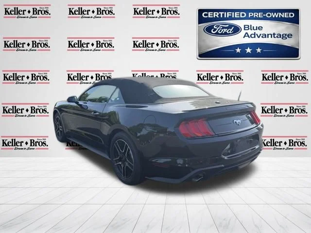 Certified Used 2019 Black Ford EcoBoost Premium image 5