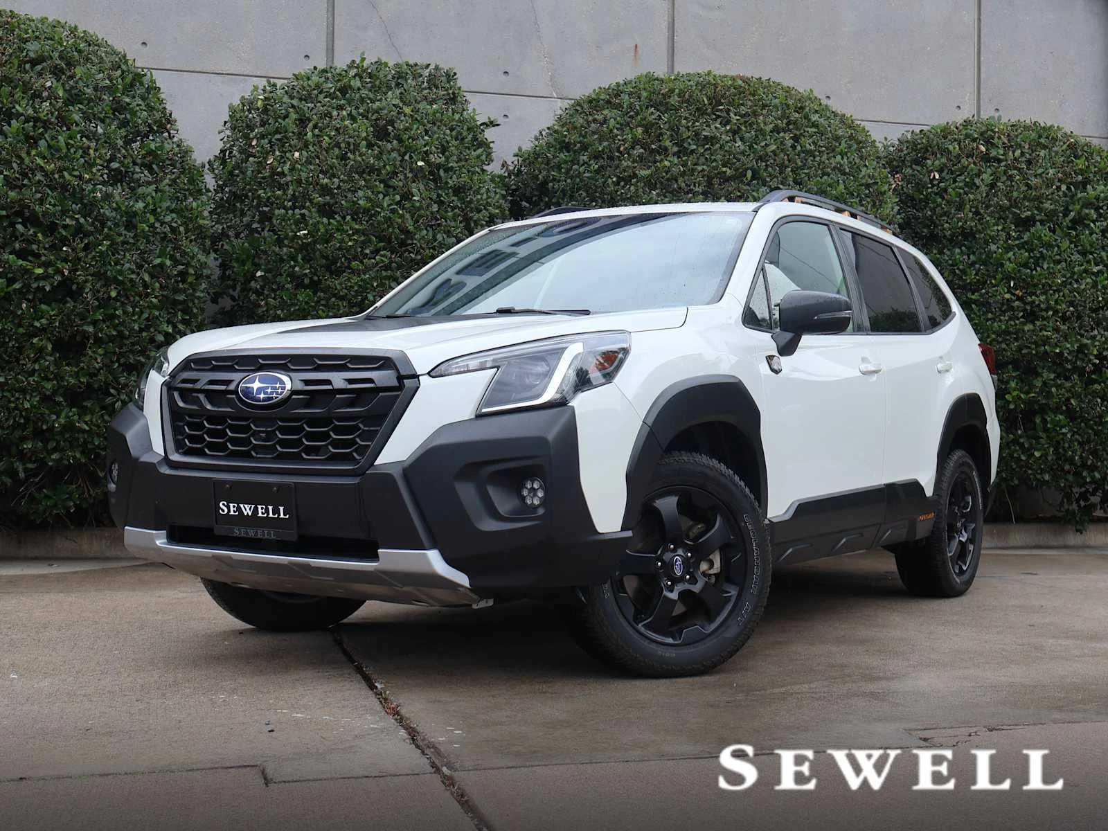 2023 Subaru Forester Wilderness's photo