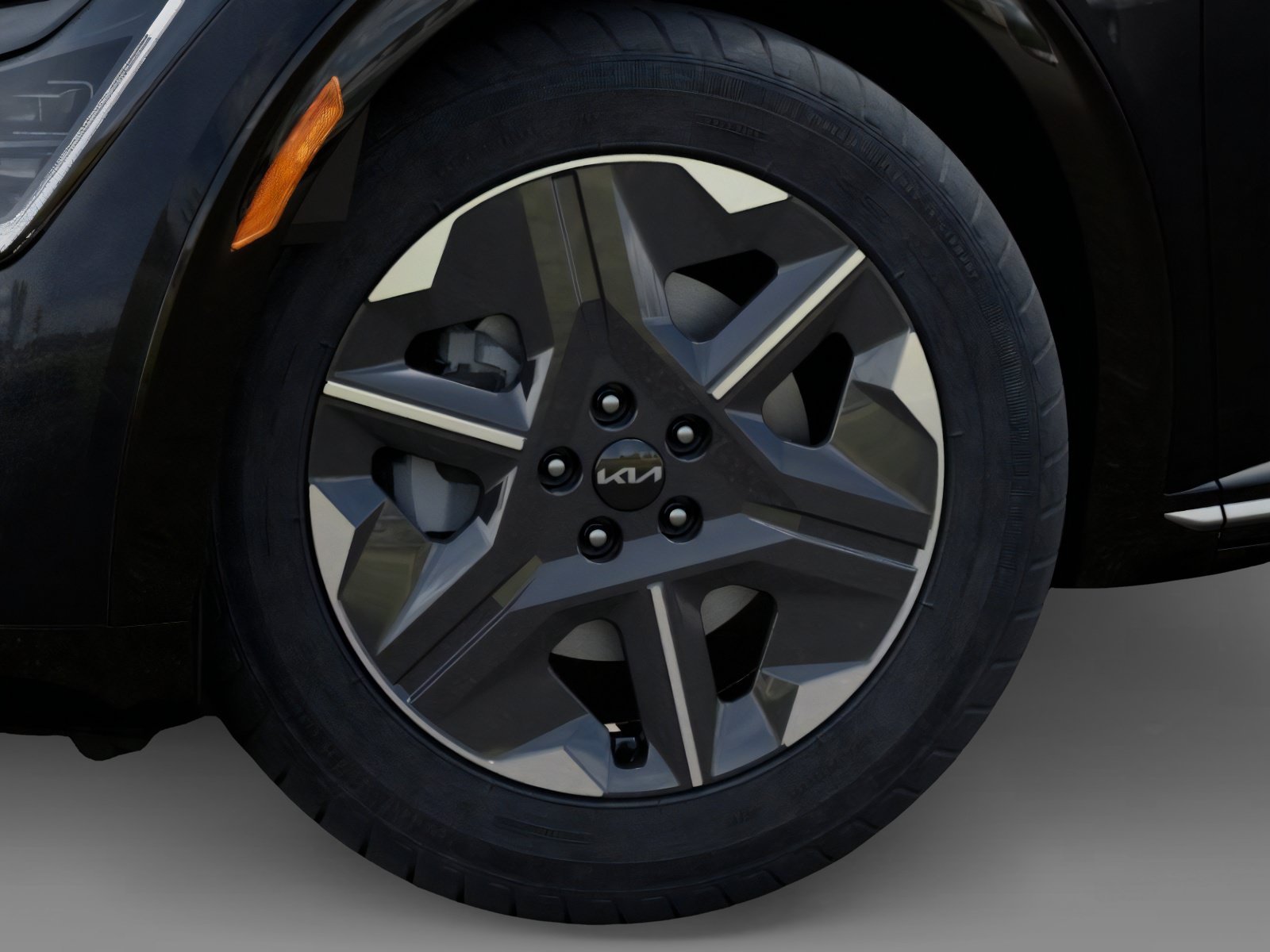 New 2026 PANTHERA METAL Kia Light Long Range image 9