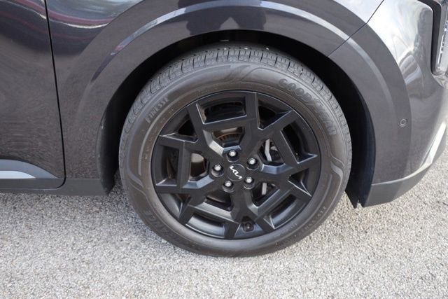 Used 2025 Panthera Metal Kia SX Prestige image 15
