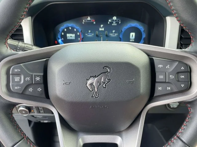New 2026 Avalanche Gray Ford TCcustoms image 35