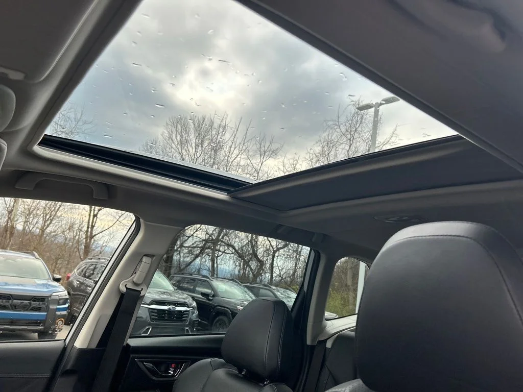 View 29