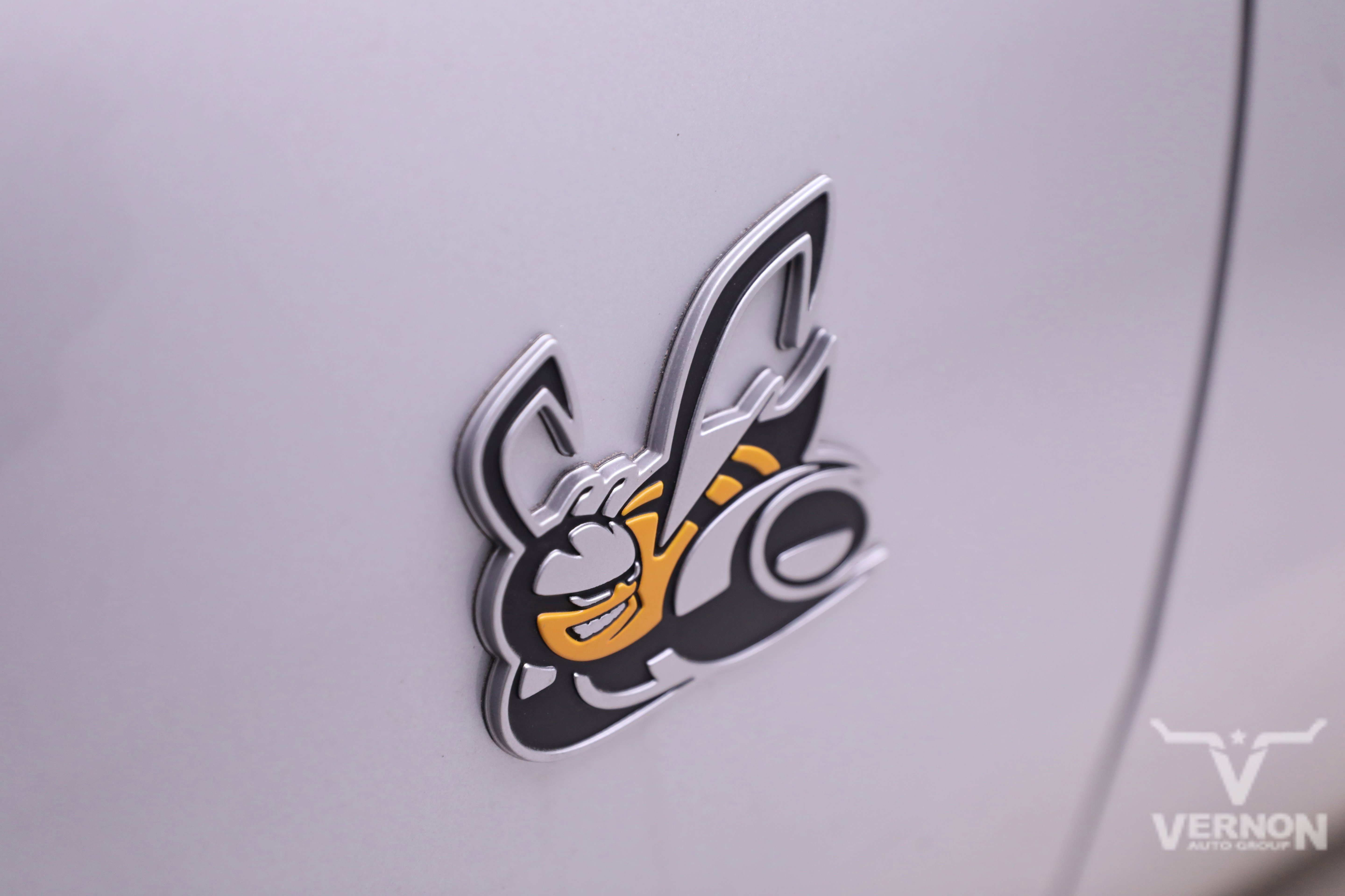 New 2026 Triple Nickel Dodge N image 30