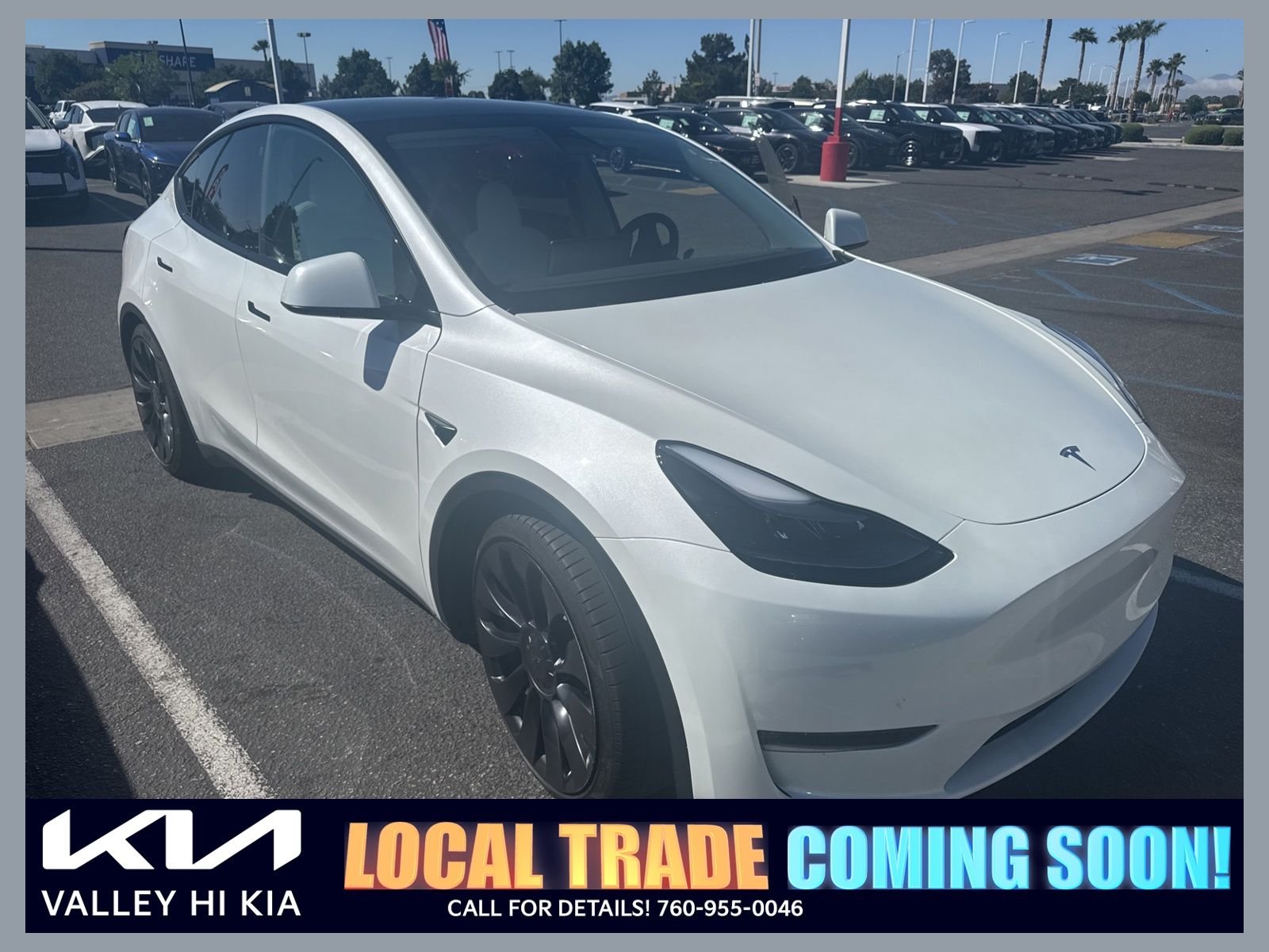 2023 Tesla Model Y Performance Dual Motor All-Wheel Drive's photo