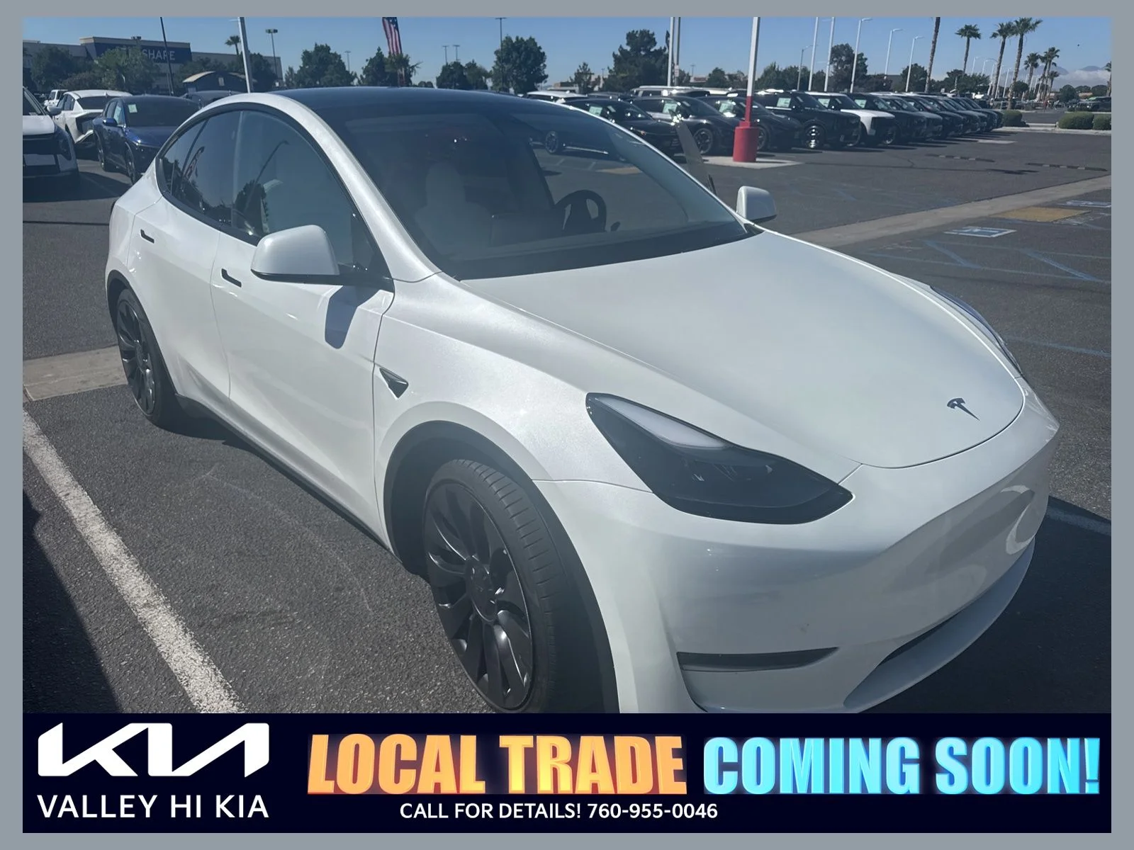 2023 Tesla Model Y Performance Dual Motor All-Wheel Drive's photo