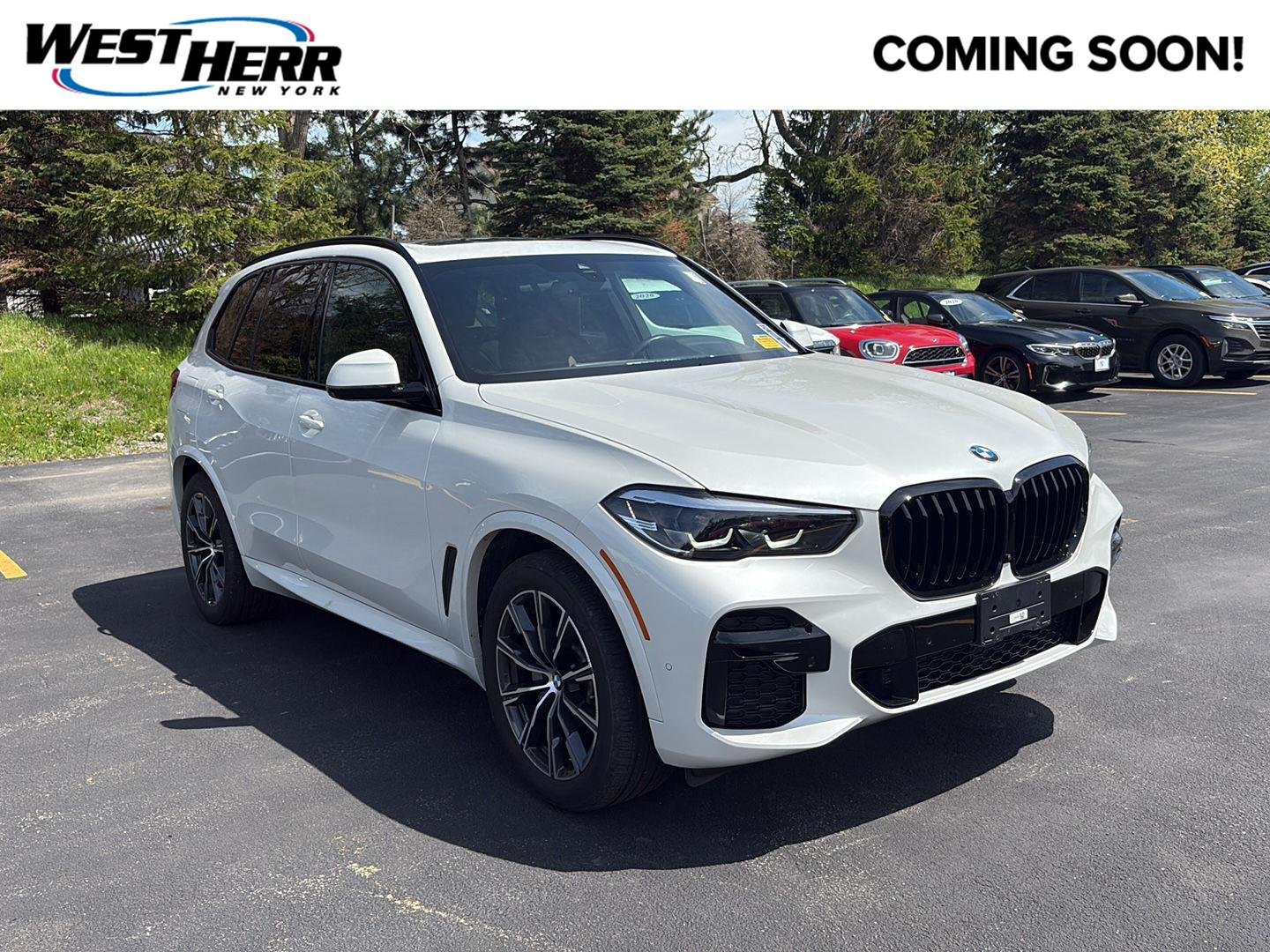 2023 BMW X5 xDrive40i's photo
