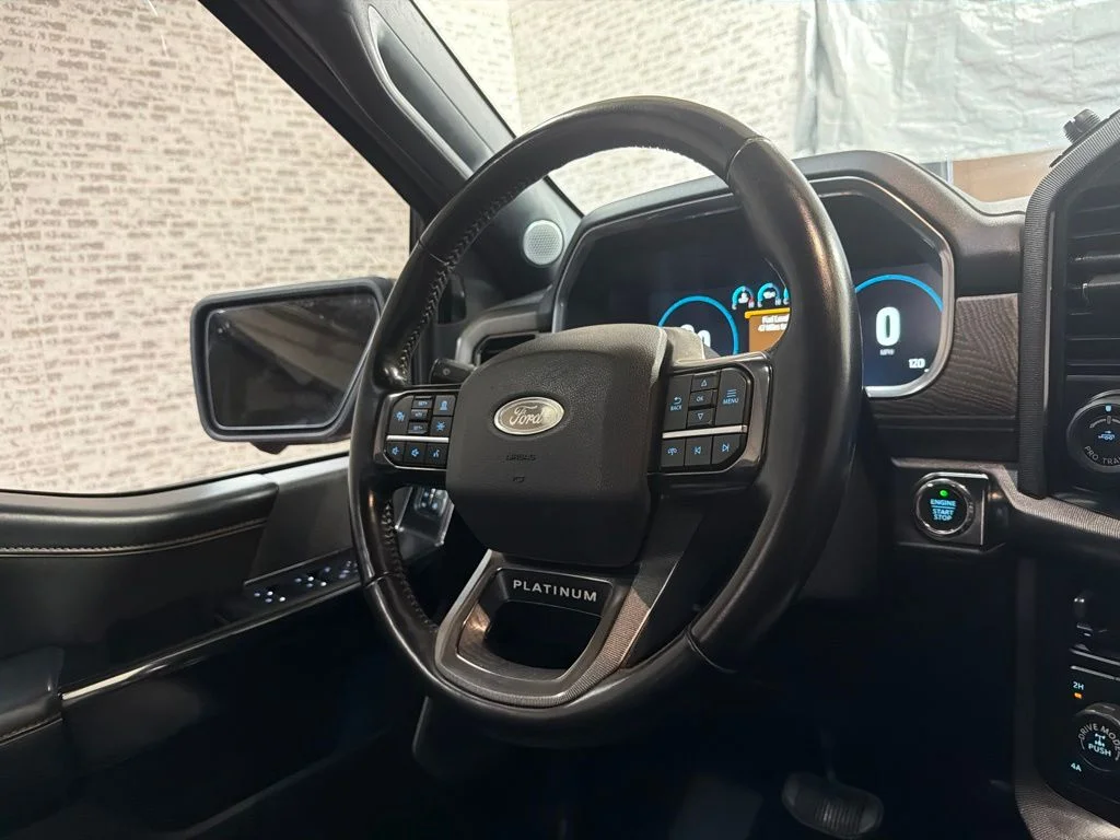 Used 2021 Guard Metallic Ford Platinum image 18
