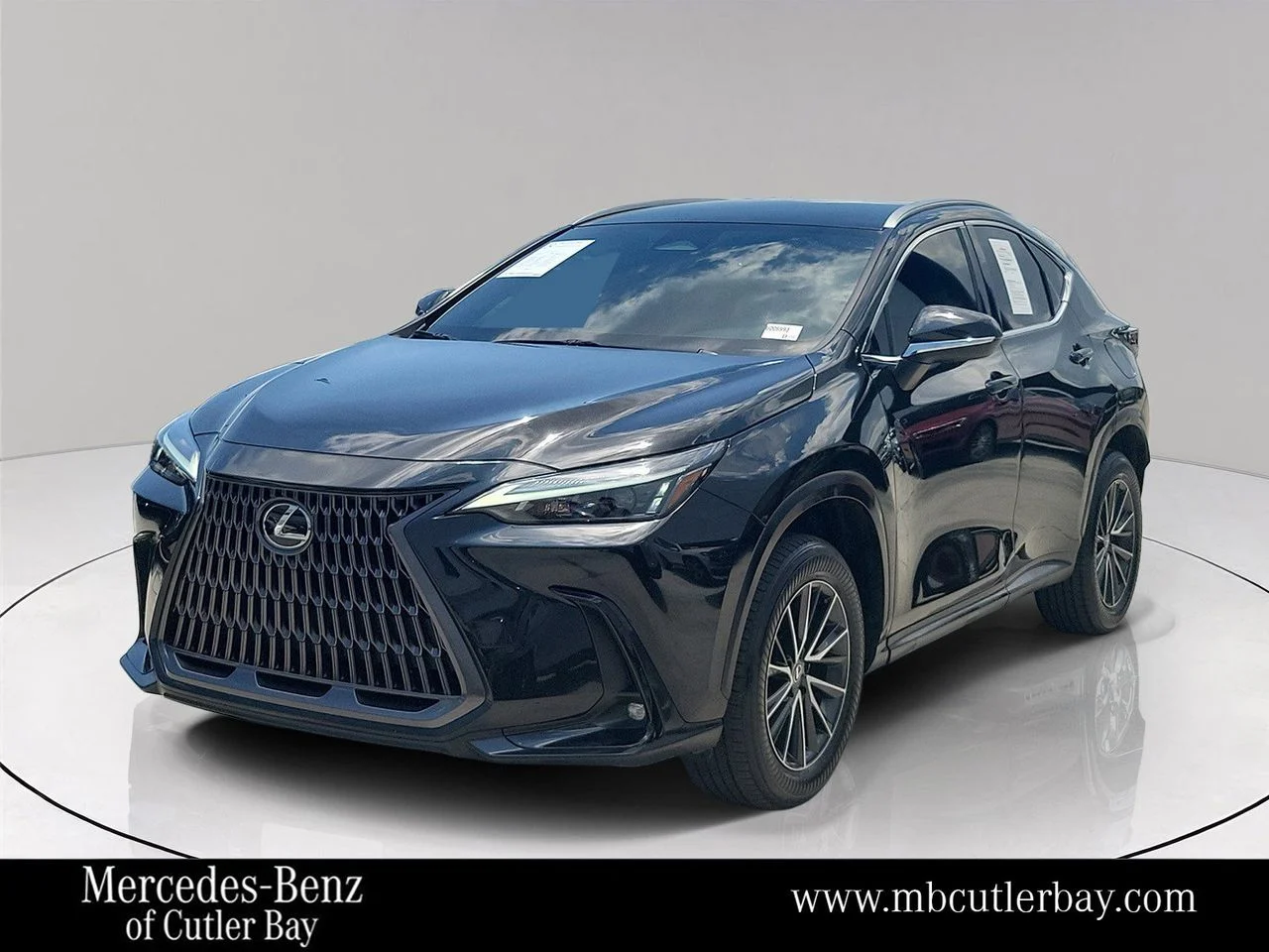 2024 Lexus NX