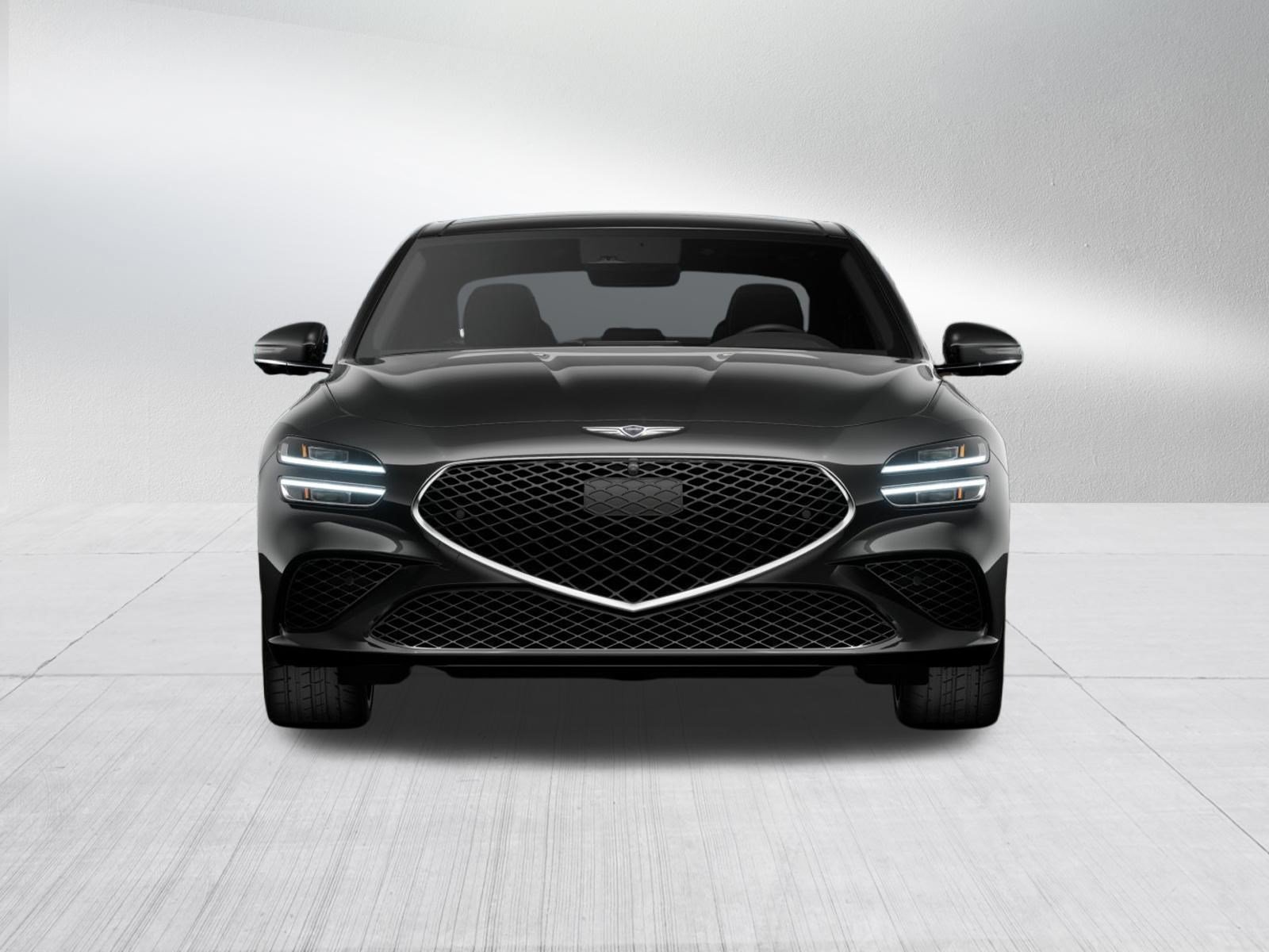 New 2026 Vik Black Genesis 2.5T Prestige image 6