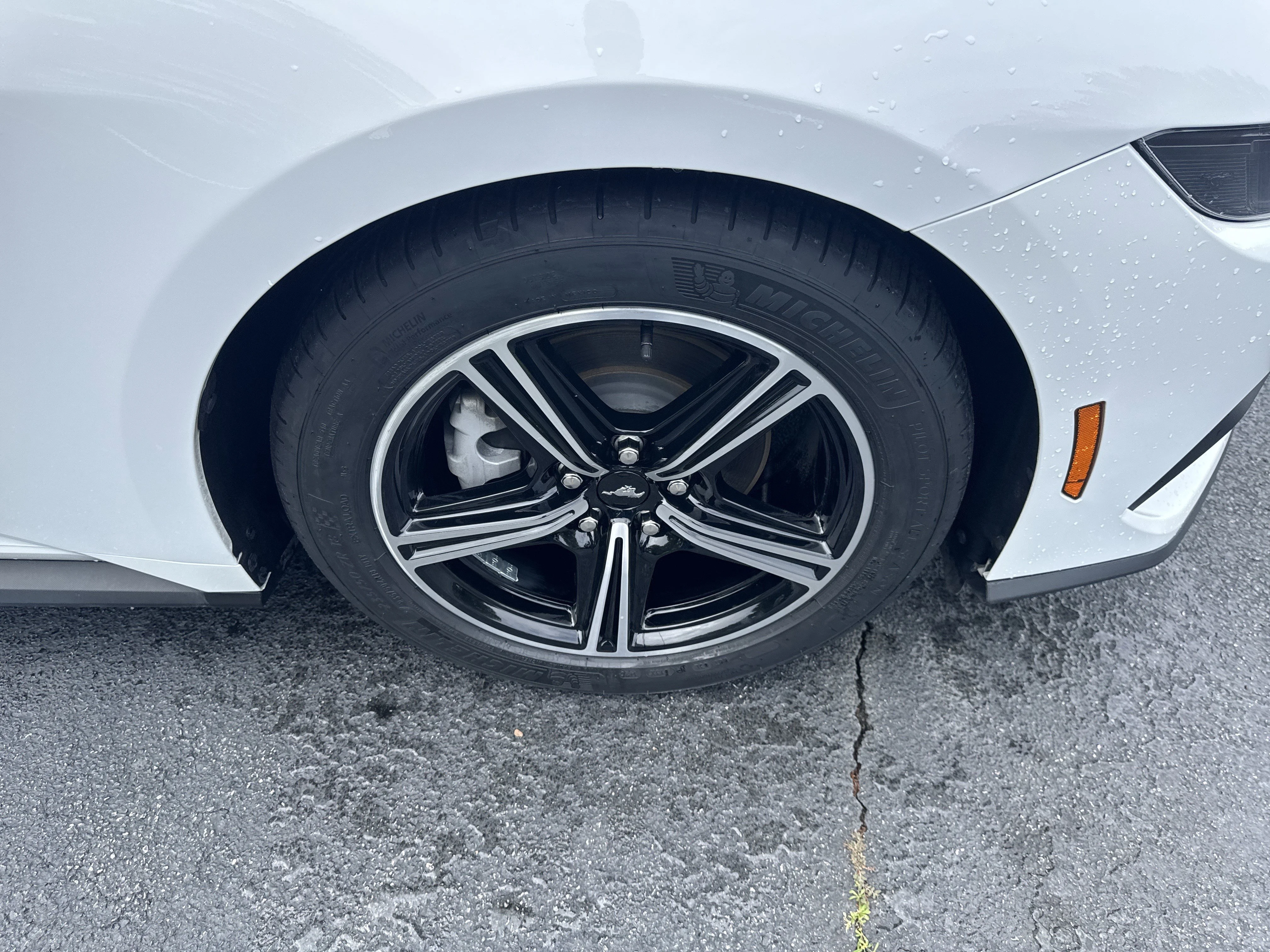 Used 2025 Oxford White Ford EcoBoost Premium image 18