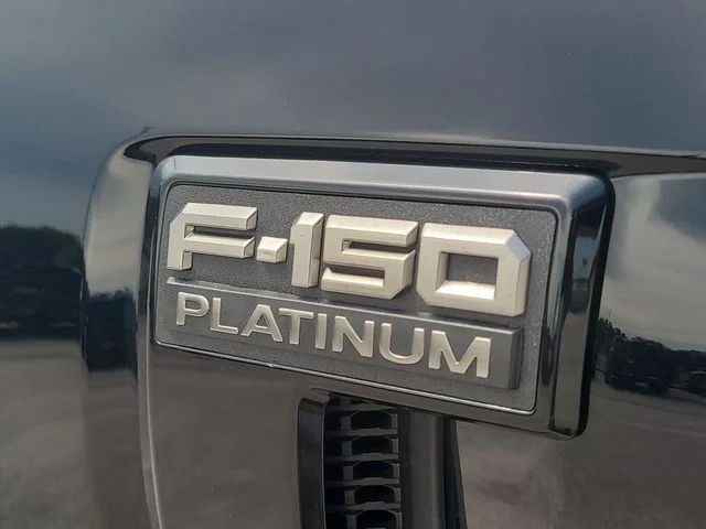 New 2026 Black Metallic Ford Platinum image 9