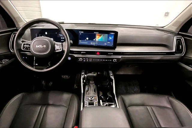 Used 2025 Panthera Metal Kia X-Line SX image 18
