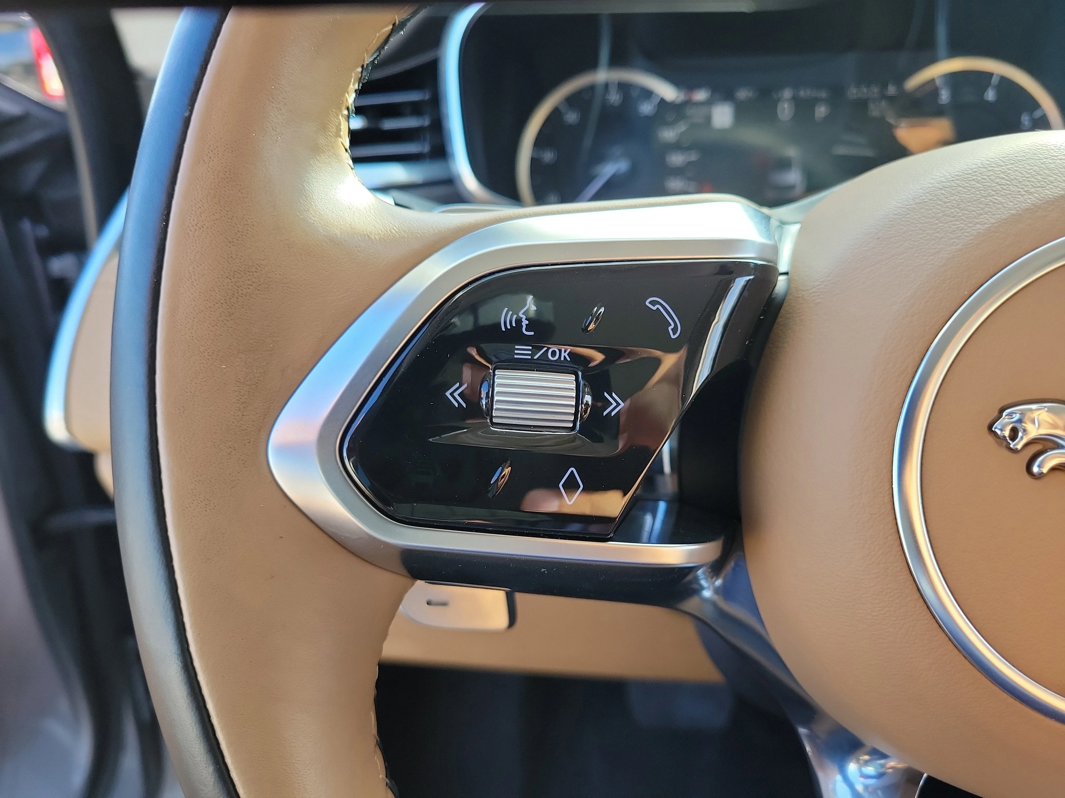 Used 2022 Gray Jaguar S image 25