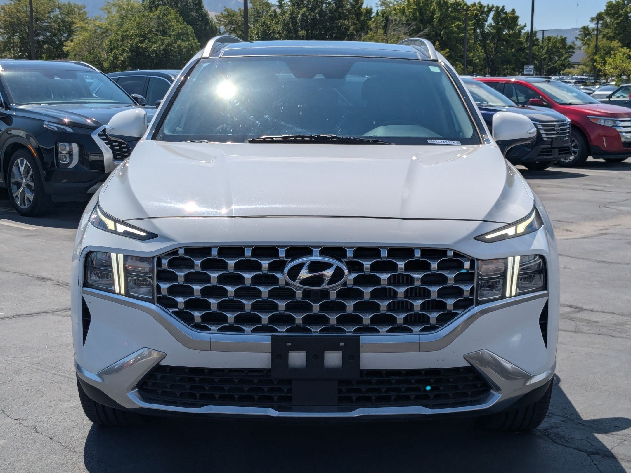 2023 Hyundai Santa Fe SEL Premium HEV - Photo 10