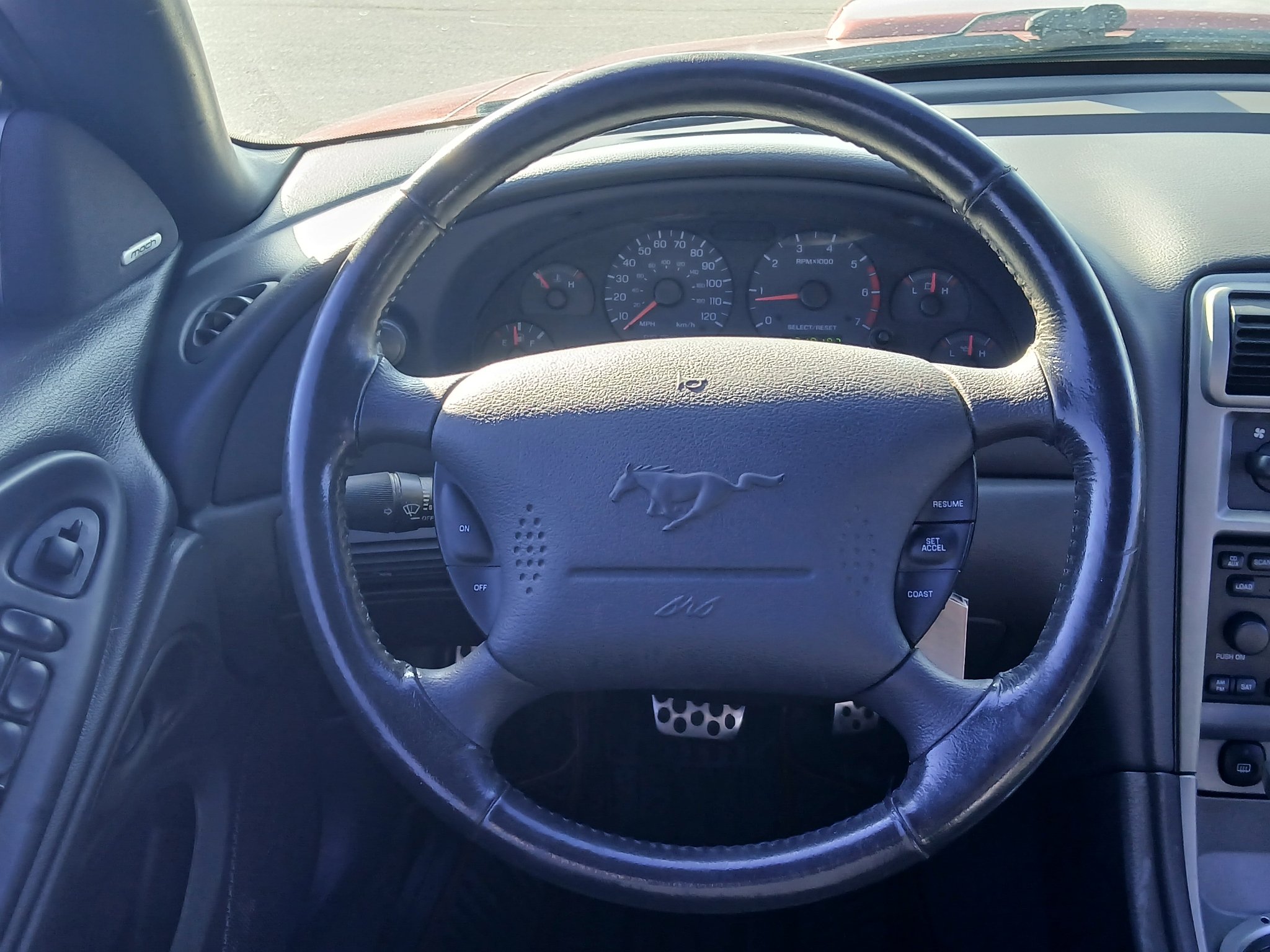 Photo 19