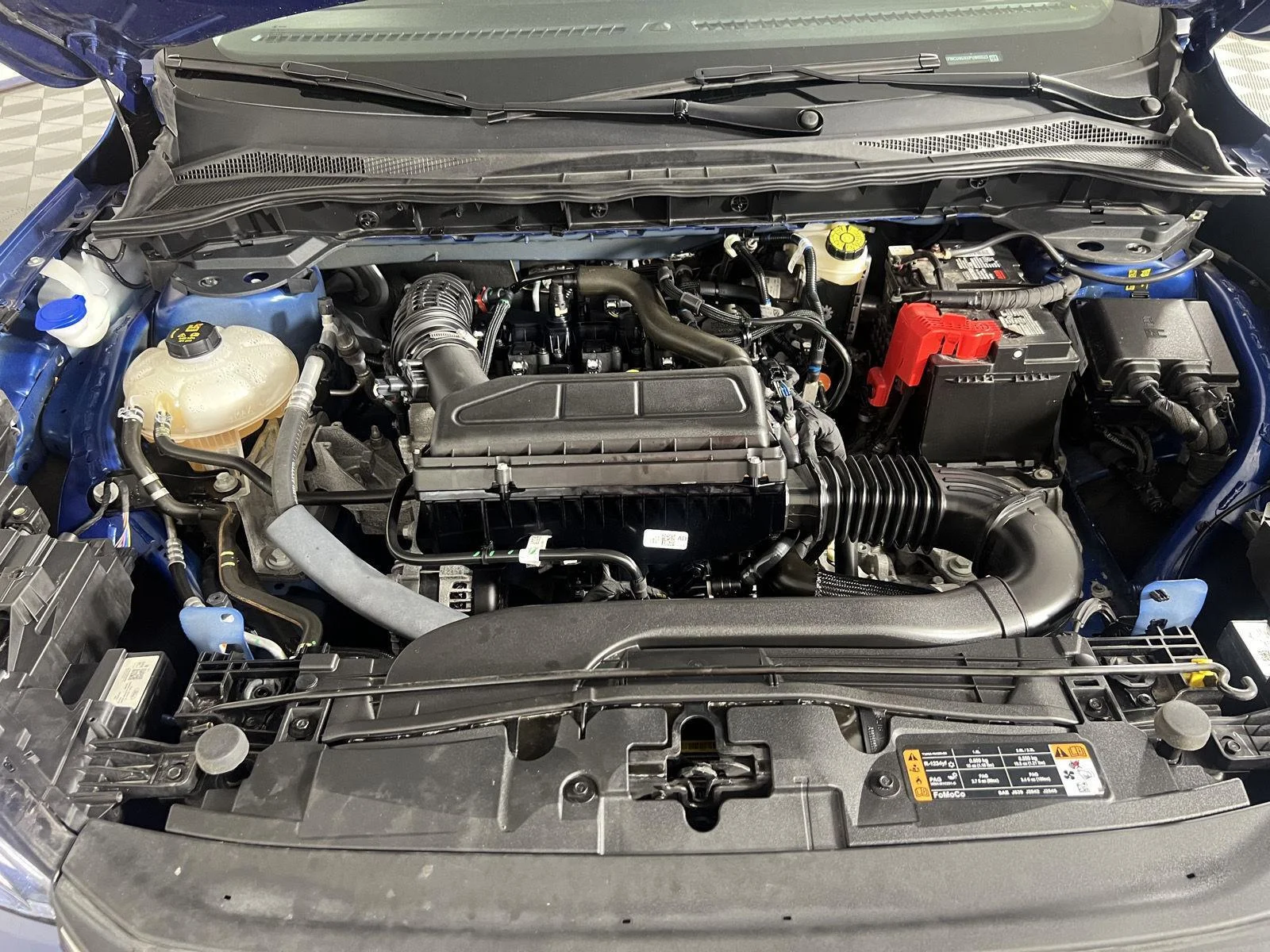 Used 2023 Atlas Blue Ford Active image 6