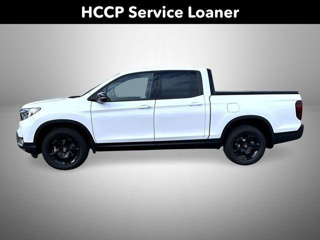 New 2026 Platinum White Pearl Honda Black Edition image 8