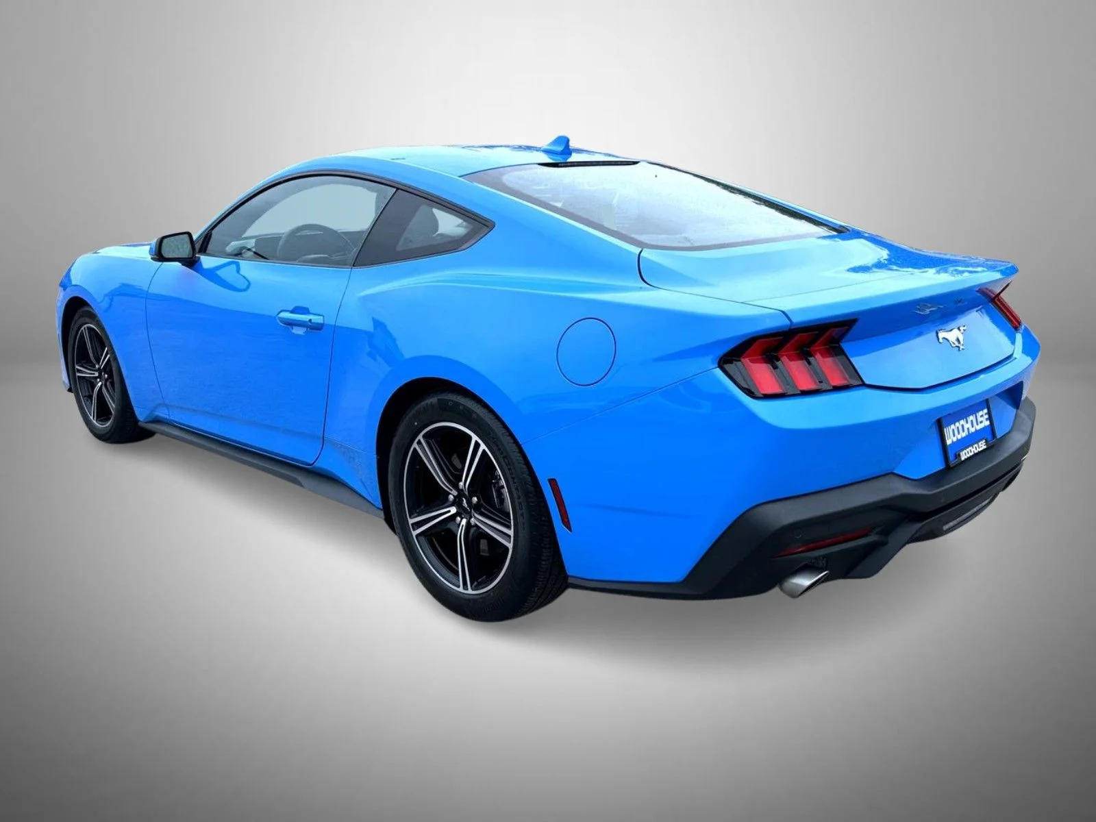 Used 2024 Blue Ford EcoBoost Premium image 7
