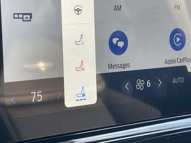 New 2026 White Ford Platinum image 23