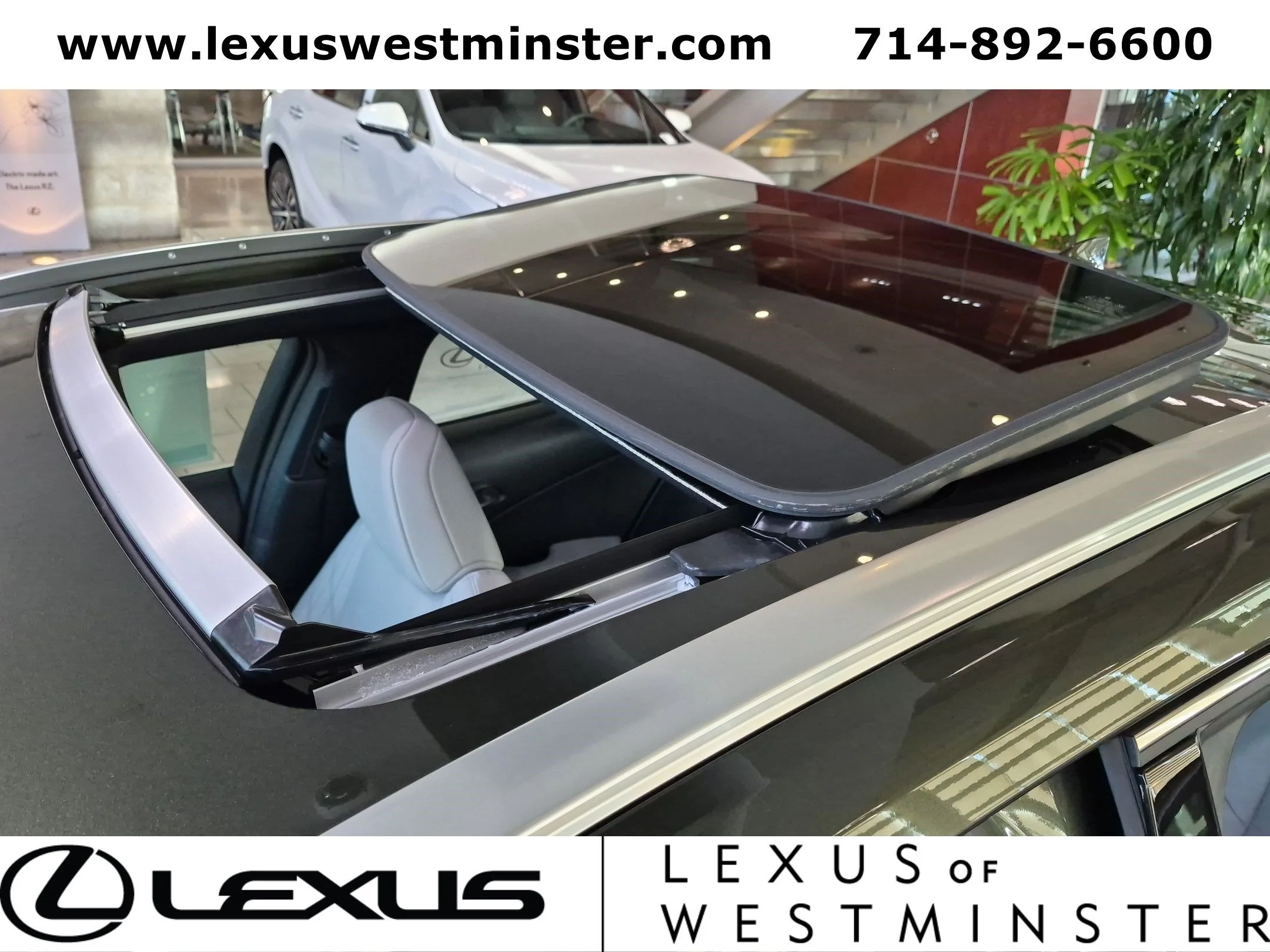 New 2026 Nori Green Pearl Lexus UX 300h PREMIUM image 12