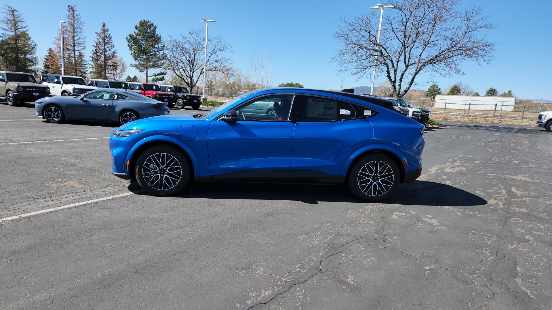New 2026 Velocity Blue Metallic Ford Premium image 6